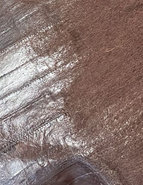 Agugliato pelle con lana